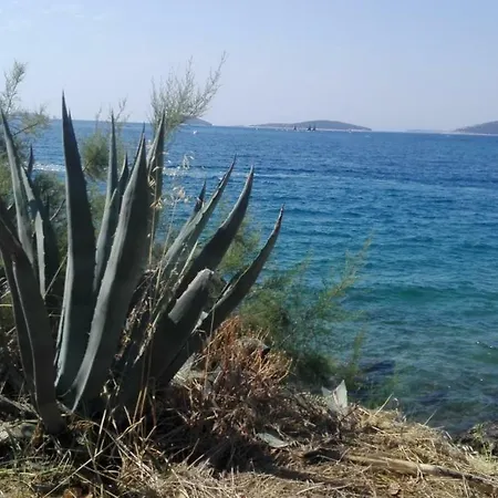 Hébergement de vacances Baksaj